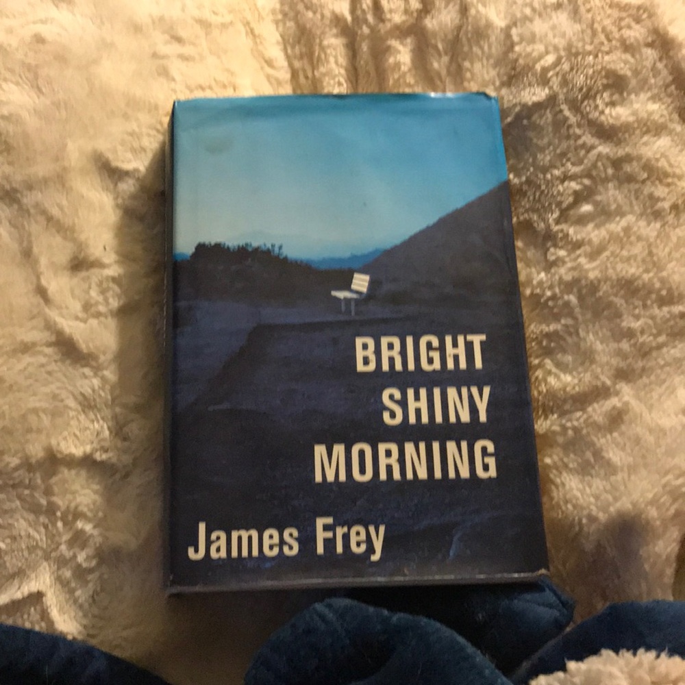 Bright Shiny Morning